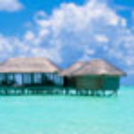 Menchie's Frozen Yogurt